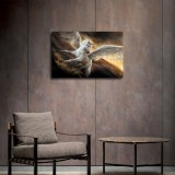 HD Canvas Print Home Decor Paintings Wall Art Pictures-SR108699
