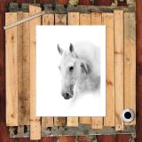 HD Canvas Print Home Decor Paintings Wall Art Pictures-SR119275