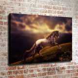 HD Canvas Print Home Decor Paintings Wall Art Pictures-SR101054