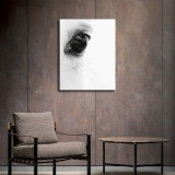 HD Canvas Print Home Decor Paintings Wall Art Pictures-SR111608