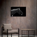 HD Canvas Print Home Decor Paintings Wall Art Pictures-SR120151