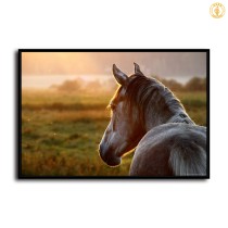 HD Canvas Print Home Decor Paintings Wall Art Pictures-SR107654