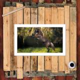 HD Canvas Print Home Decor Paintings Wall Art Pictures-SR107161