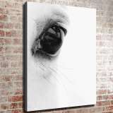 HD Canvas Print Home Decor Paintings Wall Art Pictures-SR111608