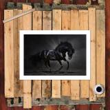 HD Canvas Print Home Decor Paintings Wall Art Pictures-SR100580