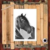 HD Canvas Print Home Decor Paintings Wall Art Pictures-SR110100