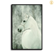 HD Canvas Print Home Decor Paintings Wall Art Pictures-SR119277