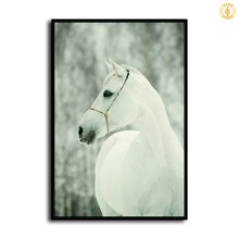 HD Canvas Print Home Decor Paintings Wall Art Pictures-SR119277