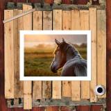 HD Canvas Print Home Decor Paintings Wall Art Pictures-SR107654