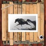 HD Canvas Print Home Decor Paintings Wall Art Pictures-SR101056