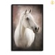 HD Canvas Print Home Decor Paintings Wall Art Pictures-SR108215