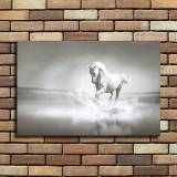 HD Canvas Print Home Decor Paintings Wall Art Pictures-SR101055