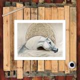 HD Canvas Print Home Decor Paintings Wall Art Pictures-SR-A7030