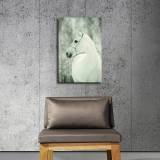 HD Canvas Print Home Decor Paintings Wall Art Pictures-SR119277