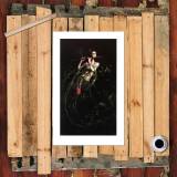 HD Canvas Print Home Decor Paintings Wall Art Pictures-SR-A2402