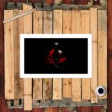 HD Canvas Print Home Decor Paintings Wall Art Pictures-SR105269