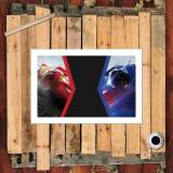 HD Canvas Print Home Decor Paintings Wall Art Pictures-SR100434