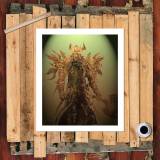 HD Canvas Print Home Decor Paintings Wall Art Pictures-SR103929