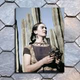 HD Canvas Print Home Decor Paintings Wall Art Pictures-SR126643