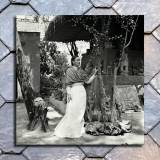 HD Canvas Print Home Decor Paintings Wall Art Pictures-SR126570