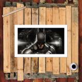 HD Canvas Print Home Decor Paintings Wall Art Pictures-SR101408