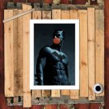 HD Canvas Print Home Decor Paintings Wall Art Pictures-SR-A1506
