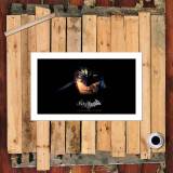 HD Canvas Print Home Decor Paintings Wall Art Pictures-SR104299