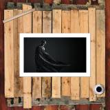 HD Canvas Print Home Decor Paintings Wall Art Pictures-SR105102
