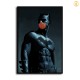 HD Canvas Print Home Decor Paintings Wall Art Pictures-SR-A1506