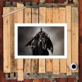 HD Canvas Print Home Decor Paintings Wall Art Pictures-SR101416