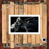 HD Canvas Print Home Decor Paintings Wall Art Pictures-SR105101