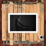 HD Canvas Print Home Decor Paintings Wall Art Pictures-SR-A3735