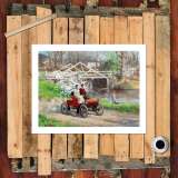 HD Canvas Print Home Decor Paintings Wall Art Pictures-SR-A6121