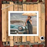HD Canvas Print Home Decor Paintings Wall Art Pictures-SR-A6867