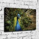 HD Canvas Print Home Decor Paintings Wall Art Pictures-SR-A2689