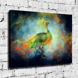 HD Canvas Print Home Decor Paintings Wall Art Pictures-SR-20069