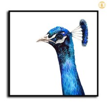 HD Canvas Print Home Decor Paintings Wall Art Pictures-SR119312