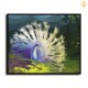 HD Canvas Print Home Decor Paintings Wall Art Pictures-SR-20073