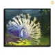 HD Canvas Print Home Decor Paintings Wall Art Pictures-SR-20073