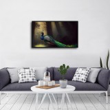 HD Canvas Print Home Decor Paintings Wall Art Pictures-SR-A3913