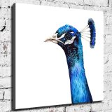 HD Canvas Print Home Decor Paintings Wall Art Pictures-SR119312