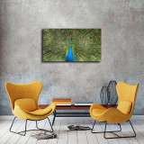 HD Canvas Print Home Decor Paintings Wall Art Pictures-SRC_X338