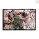 HD Canvas Print Home Decor Paintings Wall Art Pictures-SZ374119