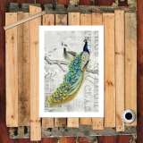 HD Canvas Print Home Decor Paintings Wall Art Pictures-SR119485