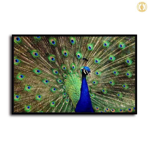 HD Canvas Print Home Decor Paintings Wall Art Pictures-SR--B-54