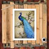 HD Canvas Print Home Decor Paintings Wall Art Pictures-SR119108