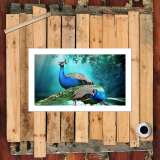 HD Canvas Print Home Decor Paintings Wall Art Pictures-SR100402