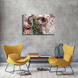 HD Canvas Print Home Decor Paintings Wall Art Pictures-SZ374119
