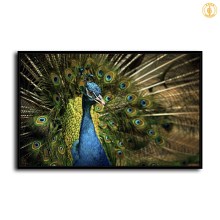 HD Canvas Print Home Decor Paintings Wall Art Pictures-SR-A2689