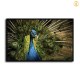 HD Canvas Print Home Decor Paintings Wall Art Pictures-SR-A2689